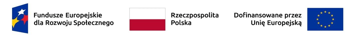 Fundusz Europejski dla Rozwoju Społecznego, Flaga Polski, Informacja o dofinansowaniu przez Unię Europejską
